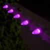 C7 OptiCore LED Commercial Outdoor Christmas Lights Lights for Wedding Heavy Duty Christmas String Lights; White Wire (50 Lights, 50 ft, Purple) view 2
