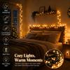 33ft Black Cord 100 LED Plug in Cozy Warm Christmas Fairy String Lights view 2