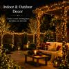 33ft Black Cord 100 LED Plug in Cozy Warm Christmas Fairy String Lights view 3