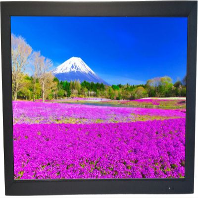 ViewEra V215HBM TFT LCD Security Monitor 21.5" Screen Size, VGA, 2X HDMI in, 1x USB in, 1x BNC in, Resolution 1920 x 1080, Brightness 250, Contrast Ratio 1000:1, Response Time 5ms, Built-in Speaker