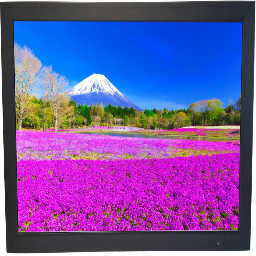 ViewEra V215HBM TFT LCD Security Monitor 21.5" Screen Size, VGA, 2X HDMI in, 1x USB in, 1x BNC in, Resolution 1920 x 1080, Brightness 250, Contrast Ratio 1000:1, Response Time 5ms, Built-in Speaker