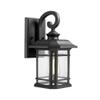 Emliviar 1-Light Outdoor Wall Lantern, Black, Clear Seeded Glass, 2084B BK view 1