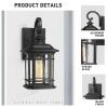Emliviar 1-Light Outdoor Wall Lantern, Black, Clear Seeded Glass, 2084B BK view 4