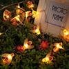 Amants01 USB 5V Honeybee Fairy String Lights, 20 LED 10Ft/3m USB Powered Led String Lights for Party,Wedding,Xmas,Decoration,Gardens,Patios view 1