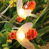 Amants01 USB 5V Honeybee Fairy String Lights, 20 LED 10Ft/3m USB Powered Led String Lights for Party,Wedding,Xmas,Decoration,Gardens,Patios view 3