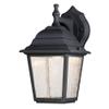 Westinghouse Lighting 6400100 One-Light Dimmable LED Outdoor Wall Fixture, Black Finish with Clear Seeded Glass view 1
