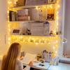 JMEXSUSS 100 LED String Lights Indoor Bedroom Warm White Christmas Lights view 3