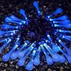 MUEQU Solar Outdoor String Lights, Waterproof 20ft 30LED Christmas Lights Water Drop Lights,8 Modes Garden Decorative Fairy Lights for Patio Lawn Fence Party Wedding (Blue) view 2