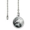 GRAPHICS & MORE Yorkshire Terrier Yorkie Tired Sleepy Dog Ceiling Fan and Light Pull Chain view 2