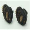 De Leon 6PC Set (3 pks of 2pcs) Animal Tracks Rustic Black Bear Paw Drawer Pulls view 2