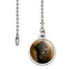 Bison Buffalo on The Praire Field Ceiling Fan and Light Pull Chain view 2