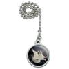 GRAPHICS & MORE Sugar Glider of The Night Ceiling Fan and Light Pull Chain view 1