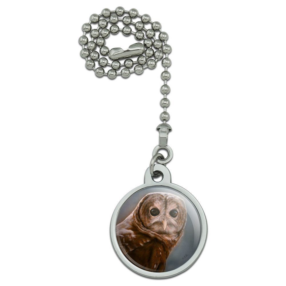 GRAPHICS & MORE Solitary Barred Owl Ceiling Fan and Light Pull Chain