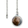 GRAPHICS & MORE Solitary Barred Owl Ceiling Fan and Light Pull Chain view 2
