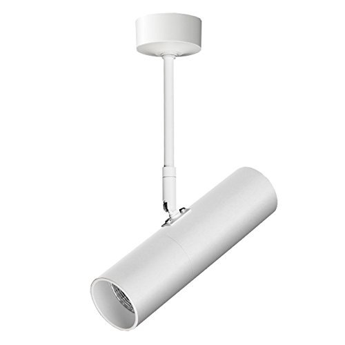 Luminturs 15W LED Ceiling Picture Spot Project Downlight Adjustable Lamp Fixture Light White Finish Pure White