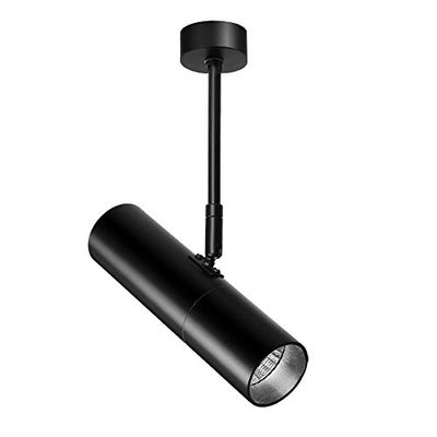 Luminturs 20W LED Ceiling Picture Spot Project Downlight Adjustable Lamp Fixture Light Black Finish Pure White