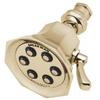 Speakman S-2255-PB Anystream Showerhead, 2.5 GPM, Polished Brass view 1