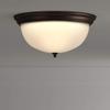 Progress Lighting P3818-20 Melon Flush Mount, 3-Light 180 Total Watts, Antique Bronze view 2