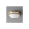 Oxygen Lighting Oxygen 3-618-40 Contemporary Modern LED Ceiling Mount from Oracle Collection Antique Finish, Aged Brass view 2