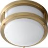 Oxygen Lighting Oxygen 3-618-40 Contemporary Modern LED Ceiling Mount from Oracle Collection Antique Finish, Aged Brass view 3