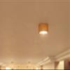 Oxygen Lighting Oxygen 3-600-24 Contemporary Modern LED Ceiling Mount from Peepers Collection in Pewter, Silver Finish, Satin Nickel view 3