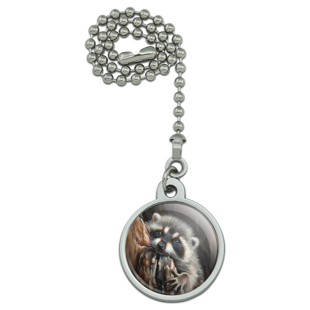 GRAPHICS & MORE Lazy Daydreaming Raccoon in Tree Ceiling Fan and Light Pull Chain