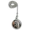 GRAPHICS & MORE Lazy Daydreaming Raccoon in Tree Ceiling Fan and Light Pull Chain view 1