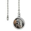 GRAPHICS & MORE Lazy Daydreaming Raccoon in Tree Ceiling Fan and Light Pull Chain view 2