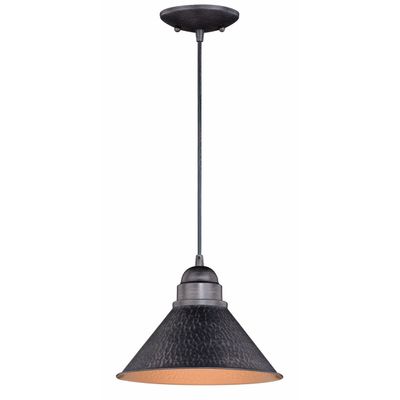 BLACK FOREST DECOR Trailhead Indoor/Outdoor Pendant 10" Wx10 Dx7 1/2" H