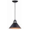 BLACK FOREST DECOR Trailhead Indoor/Outdoor Pendant 10" Wx10 Dx7 1/2" H view 1