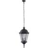 Craftmade Lighting Z2911-OBG Chadwick - One Light Outdoor Pendant, Oiled Bronze Gilded Finish with Clear Seeded Glass view 1