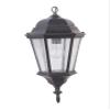 Craftmade Lighting Z2911-OBG Chadwick - One Light Outdoor Pendant, Oiled Bronze Gilded Finish with Clear Seeded Glass view 2