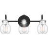 Quoizel Andrews 3-Light Earth Black Vanity Light view 1