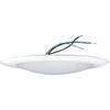 Nora Lighting NLOPAC-R650930AW NLOPAC-R650930AW-15 Watt LED 6" Surface Mount AC Opal-3000K-1,050 Lumens-120V-White, Surface Mount White view 4