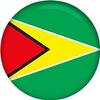 Zabygrip Phone and Tablet Stand Grip Great For Selfie Rotates 360 Degree. Express Your Unique Style With A Grip (Flag of Guyana) view 1