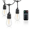 Newhouse Lighting LED String Lights with Weatherproof Technology, Dimmable with Wireless Remote Control, 48ft and 16 (15+1 Free) LED Light Bulbs Included, Black (CSTRINGLEDDIM) view 1