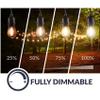 Newhouse Lighting LED String Lights with Weatherproof Technology, Dimmable with Wireless Remote Control, 48ft and 16 (15+1 Free) LED Light Bulbs Included, Black (CSTRINGLEDDIM) view 2