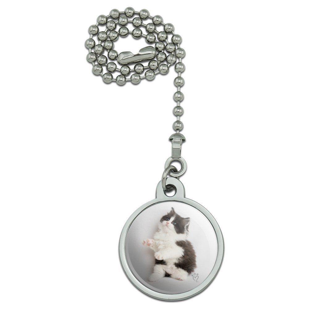 GRAPHICS & MORE Persian Kitten Cat Black White Ceiling Fan and Light Pull Chain