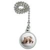 GRAPHICS & MORE Miradoll Ragdoll Kitten Cat Brown Lazy Ceiling Fan and Light Pull Chain view 1