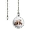 GRAPHICS & MORE Miradoll Ragdoll Kitten Cat Brown Lazy Ceiling Fan and Light Pull Chain view 2