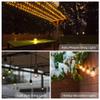 Simba Lighting G40 Replacement Bulb 5W 120V E12 Candelabra Base C7, 25 Pack view 4