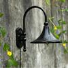 Kiven Creative Gooseneck Downward Outdoor/Indoor Plug in Wall Sconce Light Classical Acrylic with Glass Exterior Lighting Light Bulb not Included view 4
