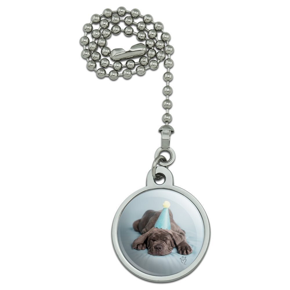 Neapolitan Mastiff Dog Puppy Blue Birthday Party Hat Ceiling Fan and Light