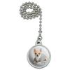 GRAPHICS & MORE Chihuahua Little Dog in a Sweater Ceiling Fan and Light Pull Chain view 1