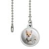 GRAPHICS & MORE Chihuahua Little Dog in a Sweater Ceiling Fan and Light Pull Chain view 2
