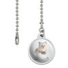 GRAPHICS & MORE Ragdoll Tiffany Cat Kitten Tea Cup Ride Ceiling Fan and Light Pull Chain view 2