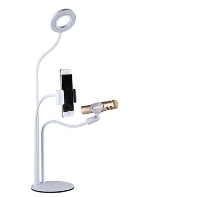 Phone Selfie Ring Light with iPhone Microphone Holder Stand for Live Stream & Makeup,Table LED Camera Light [10-Level Brightness] with Flexible Long Arm for Android iPhone 8 7 6 Plus X 6s