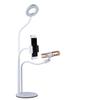 Phone Selfie Ring Light with iPhone Microphone Holder Stand for Live Stream & Makeup,Table LED Camera Light [10-Level Brightness] with Flexible Long Arm for Android iPhone 8 7 6 Plus X 6s view 1
