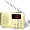 Retekess PR11 AM FM Radio Portable, Rechargeable Transistor Radios(Gold) view 1