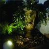 Raztech RockLite Outdoor Landscape LED Rock Lighting view 2